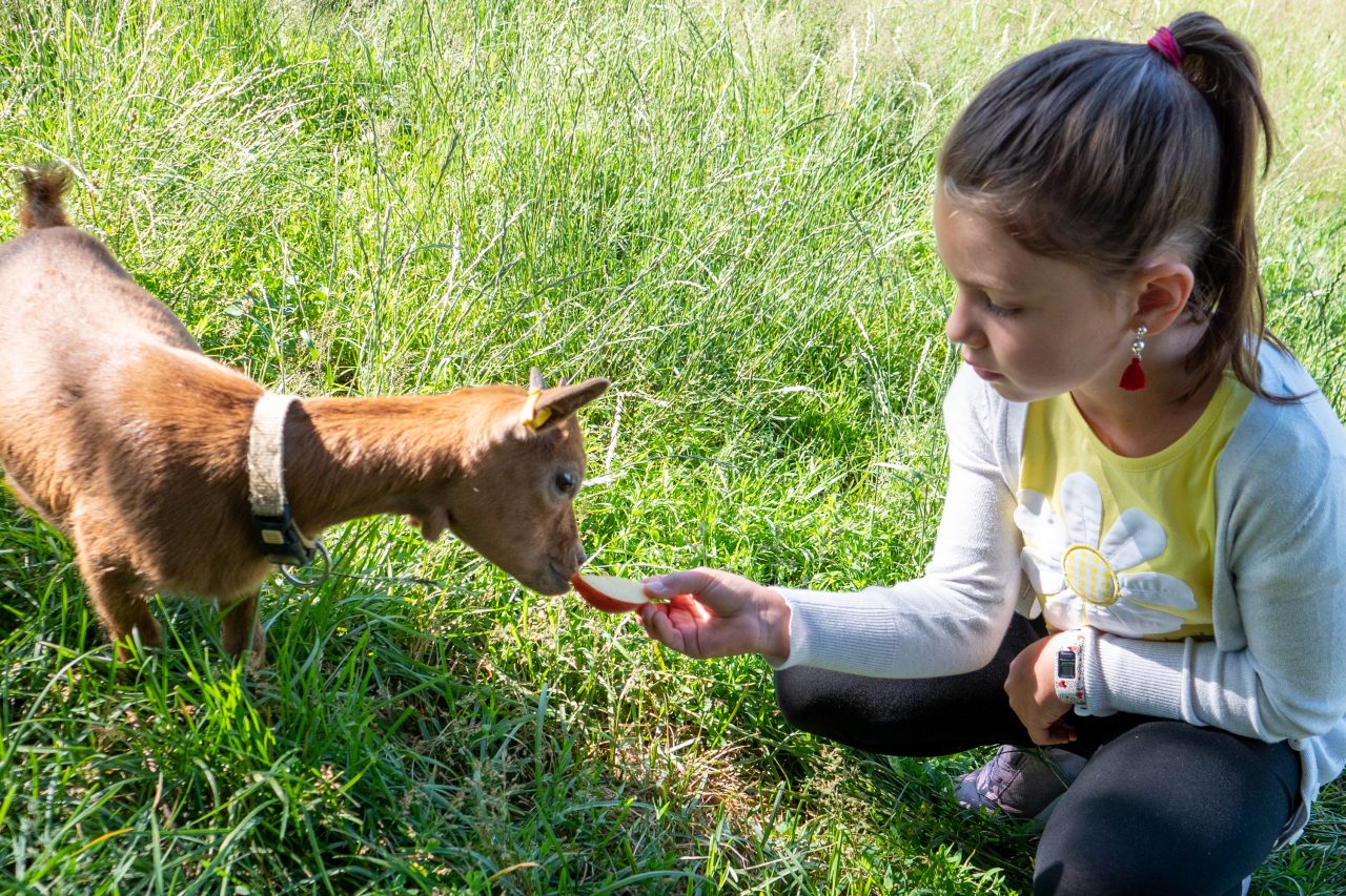 Kind mit Ziege